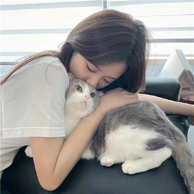 羊群